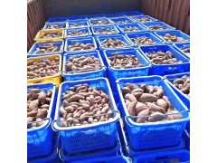 赛普710箩蔬菜百货西红柿水果筐塑料制品网格箩批发图2