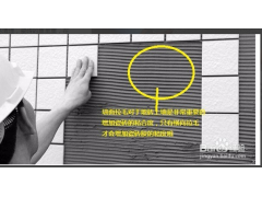 广东惠州惠东耀王邦TTB强力型瓷砖胶厂价直供图3