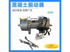 附着式混凝土振动器ZW-10 3KW铜芯振动器图3