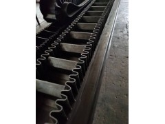 阻燃挡边输送带    福建大倾角耐磨提升带生产厂家图3