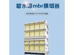 PVDF材质污水处理膜组 选用弦纹平板MBR膜组件 出水稳定图3