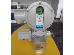 PQ640FW-16CP不锈钢气动偏心半球阀图2