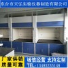 安庆市 化验室通风橱生产厂家，池州市通风柜材质说明