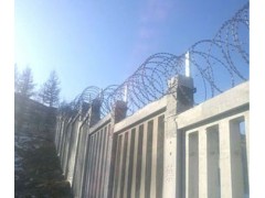 刺丝滚笼、刀片刺网、铁路刺丝滚笼、高铁防护隔离网图2