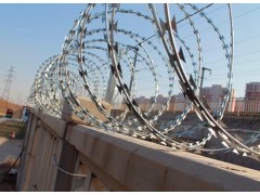刺丝滚笼、刀片刺网、铁路刺丝滚笼、高铁防护隔离网图3
