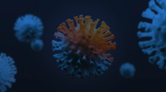 image.png 截屏2022-10-28 11.21.40