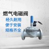 燃气电磁阀 燃气报警器配套用安全切断阀