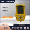 手持式甲醇气体检测仪