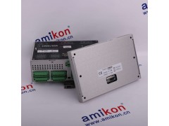 本特利1900/65四通道振动监测器图2