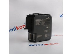 EPRO艾默生 PR6424/010-000传感器带前置器图2