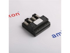 EPRO艾默生 CON021/916-160图2