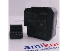 EMERSON PR6423/011-010图1