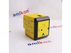 EMERSON PR6424/010-010图1