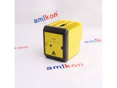 EMERSON PR6424/010-010图2