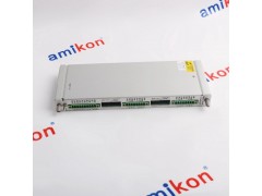 本特利3500/22M 288055-01图2