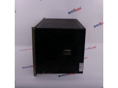 本特利 106M1081-01图2