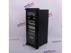 GE PLC模块   IC200ALG325H图3