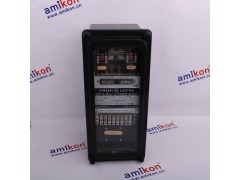 GE PLC模块   IC200ALG325H图2