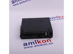 GE 空槽模块|IC694ACC310图2