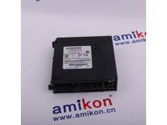 GE 空槽模块|IC694ACC310图1