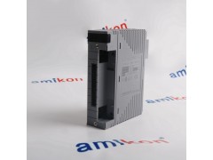 横河AAI143模拟输出模块图2