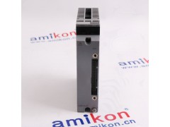 横河AAI143模拟输出模块图1