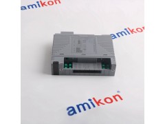 横河AAI143-S000模拟输出模块图3