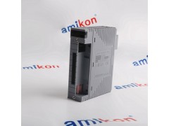 横河AAI143-S00/A4S00模拟输出模块图3