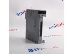 横河AAI143-S00/A4D00模拟输出模块图1