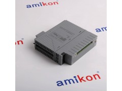 横河 AAI144 模拟量输入卡图3