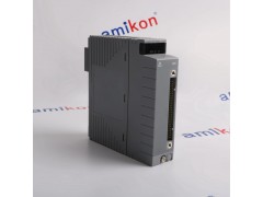 横河 AAI144 模拟量输入卡图2