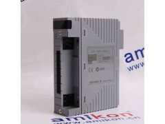 横河 AAI543 模拟输入模块图1