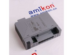 横河 AAI543 模拟输入模块图3