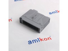 横河AAI543-S00 模拟输入模块图1