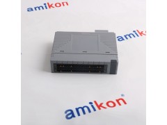 横河AAI543-S00 模拟输入模块图2