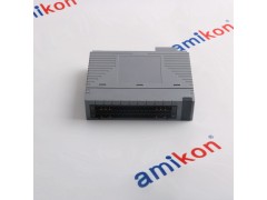 横河AAI543-H00 模拟输入模块图2