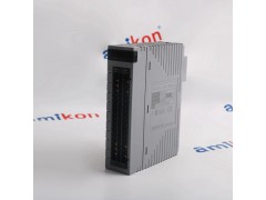 横河AAI543-H03 模拟输入模块图3