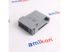 横河AAI543-S03/A4S00	模拟输入模块图2