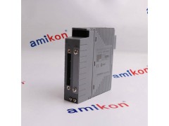 横河AAI543-S03/A4S00	模拟输入模块图4