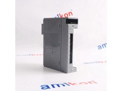 横河AAI543-S03/A4S00	模拟输入模块图1