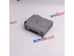 横河AAI543-S00/A4S00	模拟输入模块图1