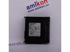 GE  IS200VAICH1D图3