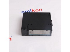 GE  IS200VAICH1D图1