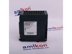 GE IS2020RKPSG3A图1