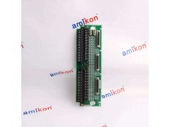 GE	IC200ALG240图1