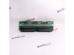 GE	IC200ALG240图2