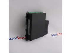 GE	IC200ALG331图1