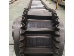 定做耐高温挡边带 广东大倾角提升带图3