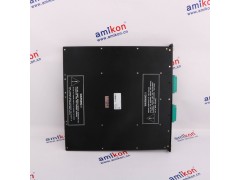 电源模件 8312 tricon INVENSYS图1