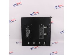 通讯模件底座|TU818V1|220V INVENSYS图2